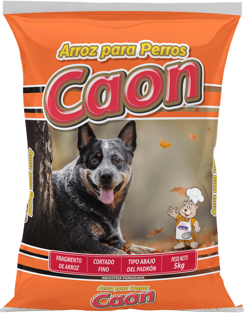 Arroz para tu Perro